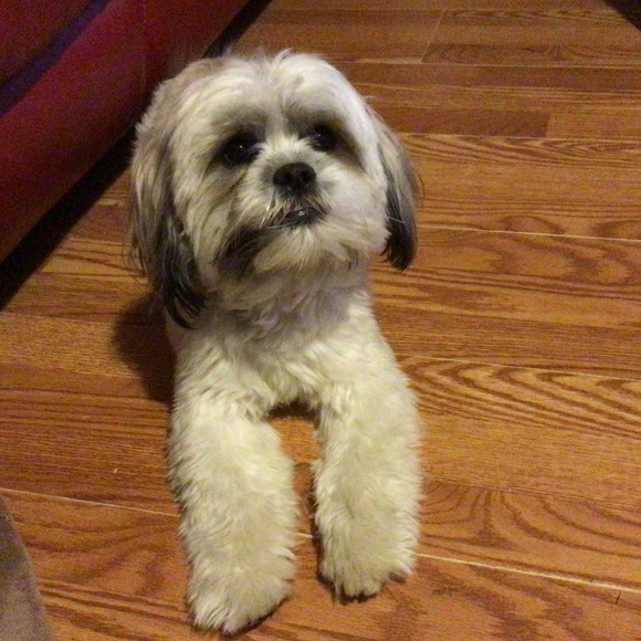 Meet your Posher, Terri - Picture 2 of 10